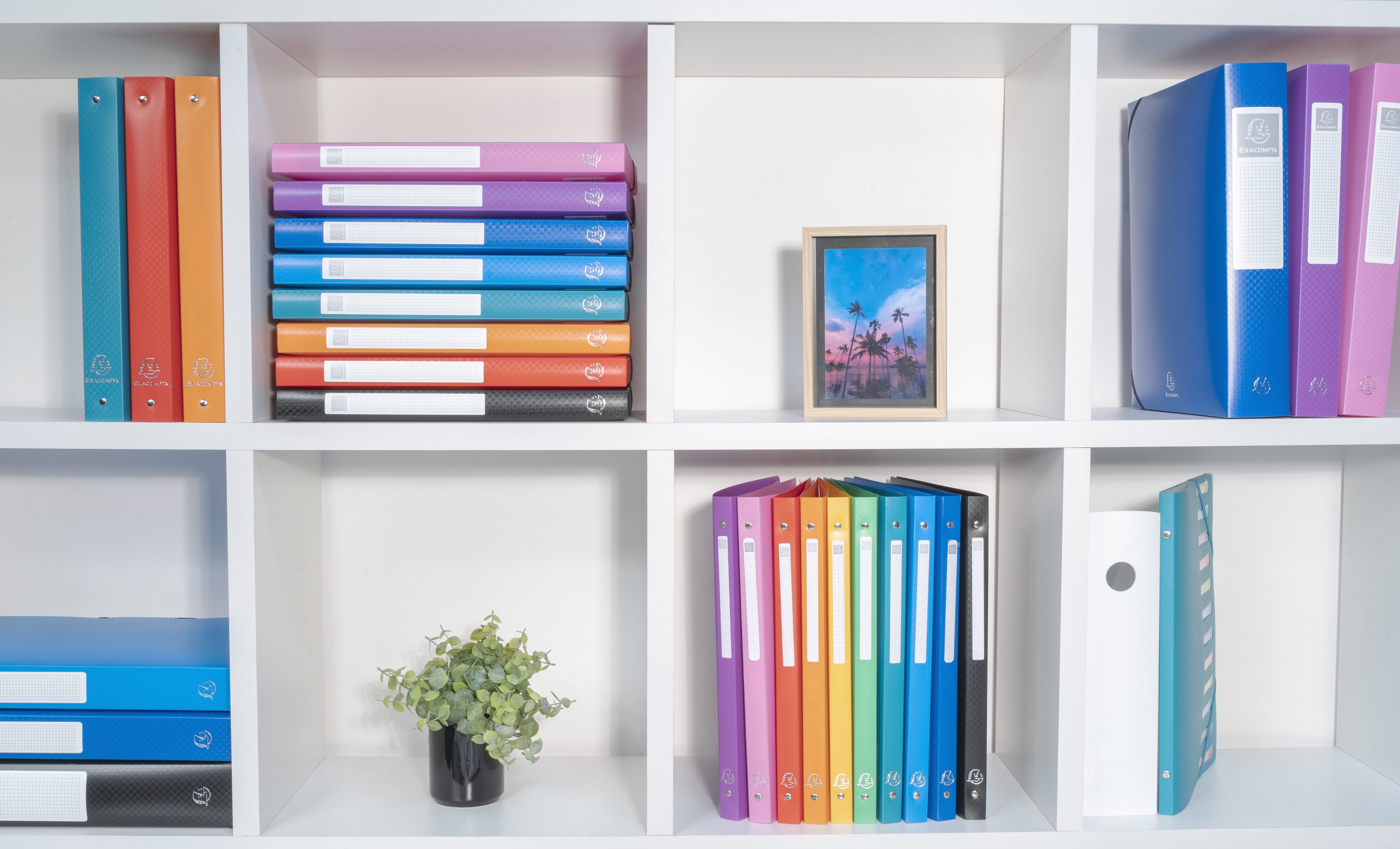 Classeur 4 anneaux 15mm polypropylène OPAK - A8