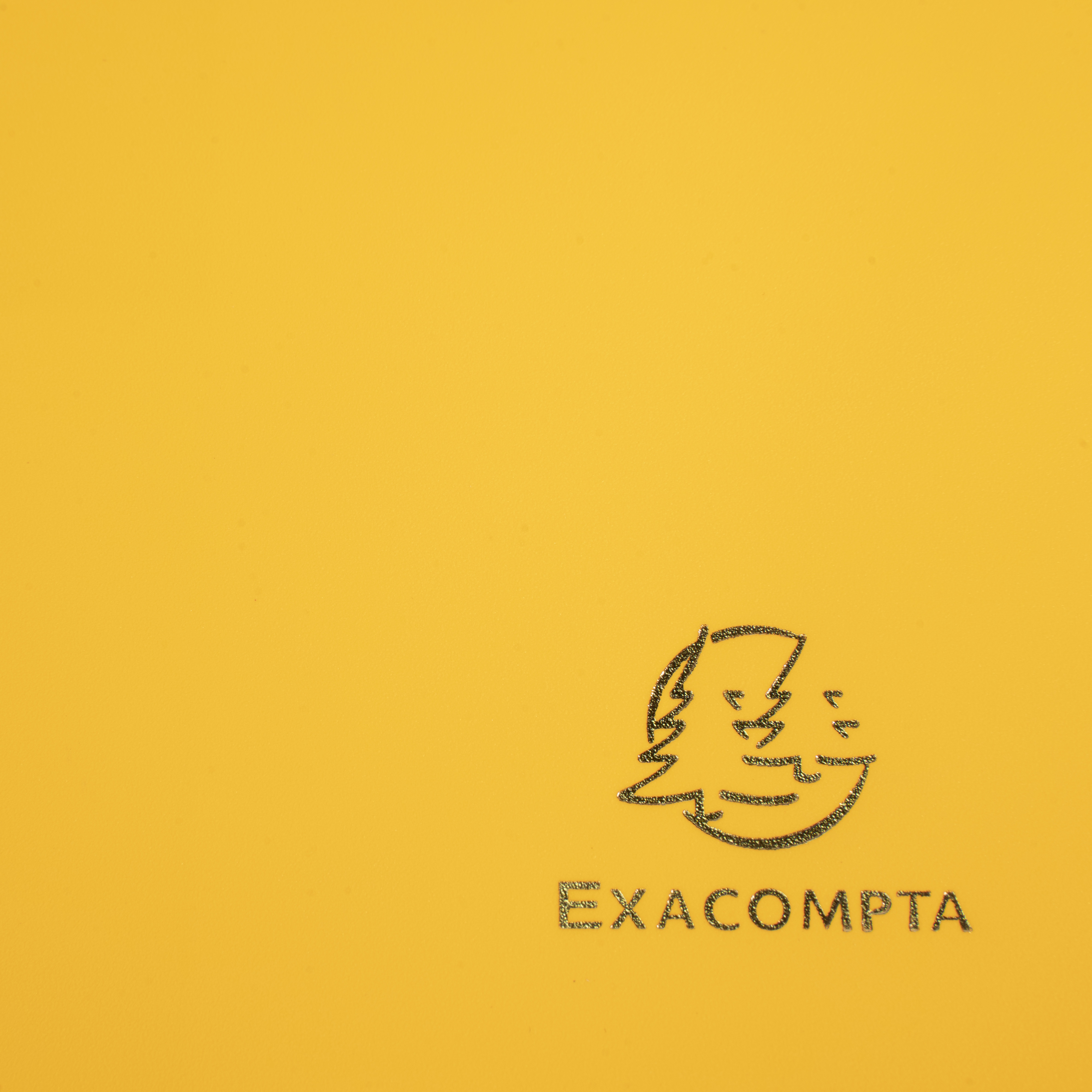 Chemise à élastique 3 rabats Polypropylène 4/10e Opaque Eco - A4 Chemise plastique polypropylène pour petit budget.