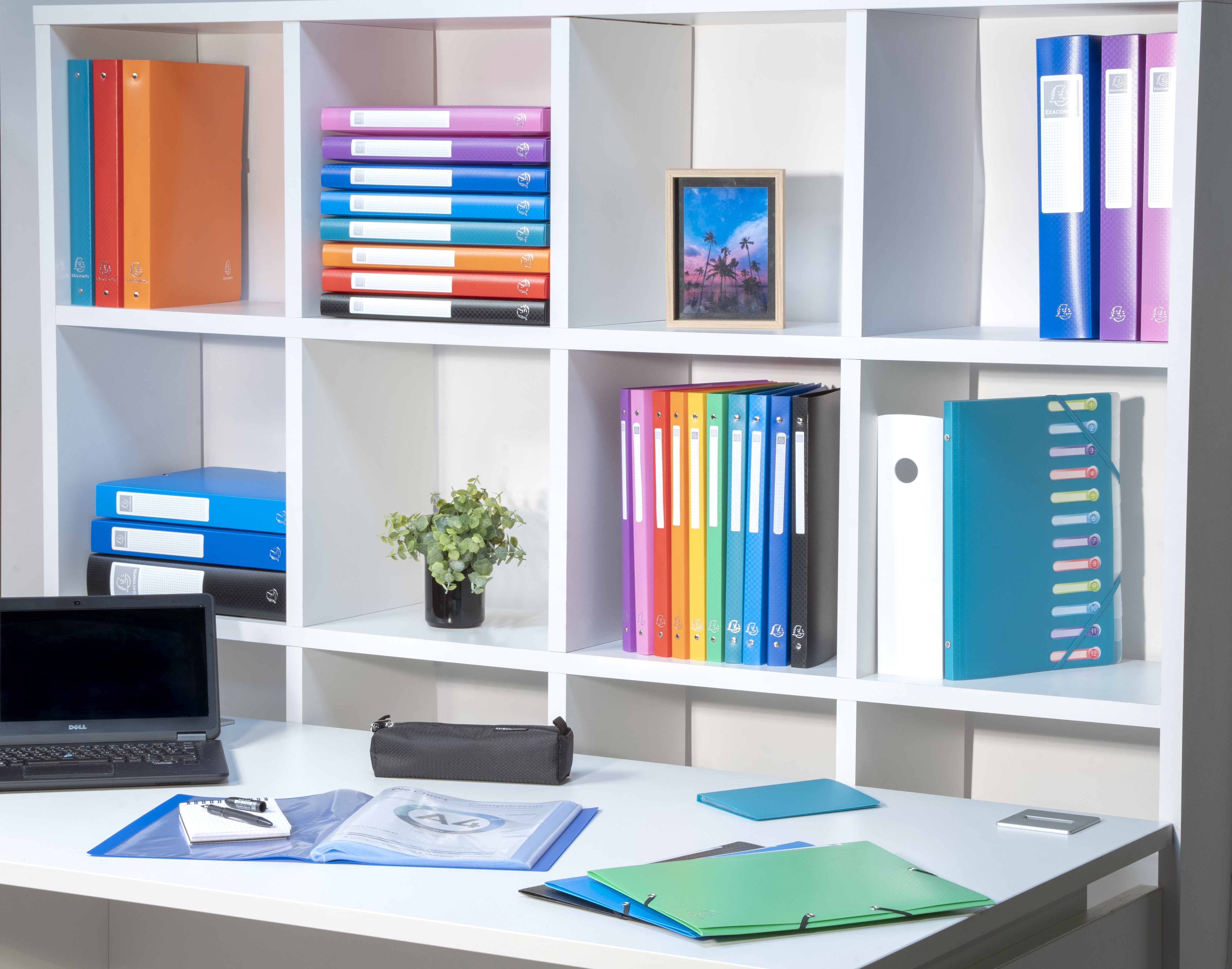 Classeur 4 anneaux 15mm polypropylène OPAK - A7